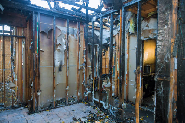 Professional Smoke Damage Removal technician working in Miamitown, OH